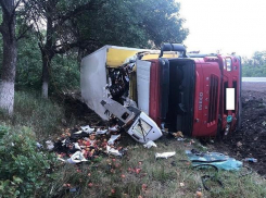 Грузовик с водителем перевернулся на Ставрополье