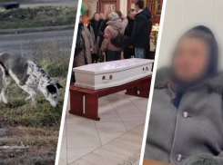 Какие выводы сделал Ставрополь после того, как на Чапаевке собаки насмерть загрызли девочку 