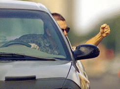 Автохамов на Ставрополье предложили сажать в тюрьму