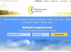  Как выглядит скандальный сайт о ставропольских предпринимателях за 10 миллионов рублей