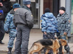 Бомбу искали в кафе-баре Кисловодска