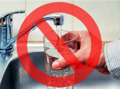 Туляремия подтвердилась у нескольких жителей Ставрополья