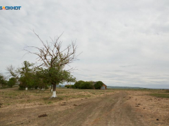 Температурные качели от -5 до +6 ждут Ставрополье 18 декабря