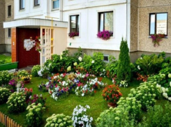 В Ставрополе вновь пройдет фестиваль городских цветников