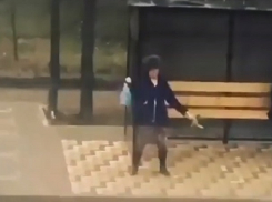 «Кто-то уже вовсю отмечает»: танцы «до упада» на остановке в Буденновске попали на видео 