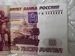 «Счастливую» купюру номиналом 5 тысяч рублей продают за 7 миллионов на Ставрополье