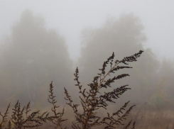 Туман и дожди настигнут Ставрополье 28 октября