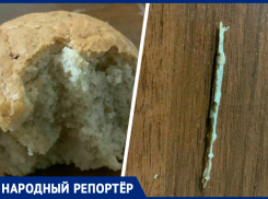 На вкус как дерево: в Буденновске обнаружен инородный предмет в выпечке