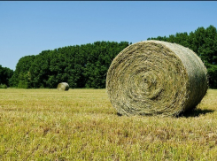 В крае сено три раза горело без видимых причин