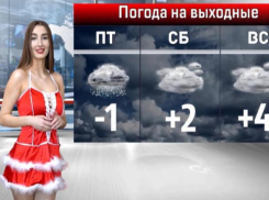 Снега не дождетесь: на выходных в Ставрополе будет +2