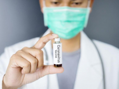 От коронавируса излечились 244 ставропольца