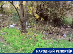 «Поляна» из пластика разрослась под окнами дома на Бруснева в Ставрополе