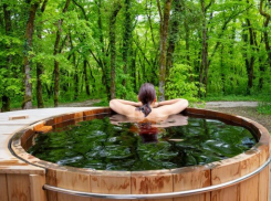 Санатории Ставрополья заработали 19 миллиардов рублей за первое полугодие 2024 года