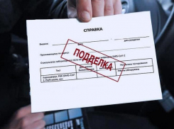 Медик из Пятигорска заработала уголовное дело за подделку тестов на CoVID-19