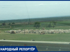 Вопреки заявлениям администрации гору мусора в районе села Надзорное так и не убрали 