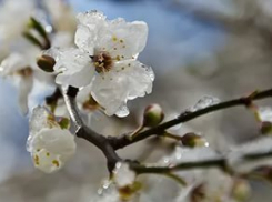 На Ставрополье надвигается опасное метеорологическое явление