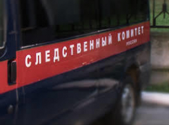 Следователи разыскали родителей мертворожденных детей