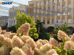 Теплая погода до +24 градусов вернется на Ставрополье в начале рабочей недели