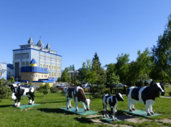 Нелегальное увеличение объемов продукции выявили на заводе МКС в Ставрополе 