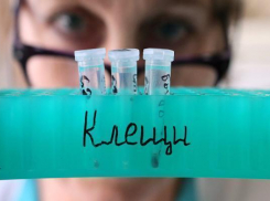 На Ставрополье уже 556 человек покусали клещи