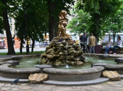 Старейшее дерево Ставрополя назовут в честь автора стихотворения «Прощай, немытая Россия...»