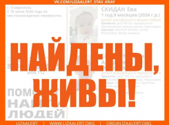 Годовалая девочка и 38-летний мужчина пропали в Ставрополе