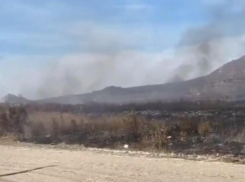 В Пятигорске горит сухостой вблизи частного сектора