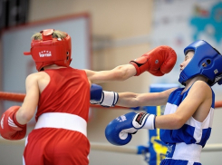 Порядка 100 юных боксеров со всего Ставрополья примут участие в турнире