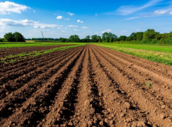 В Ставропольском крае выставили на торги участок суглинков за 9,7 миллиона рублей