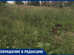 Жители Ставрополья жалуются на заросшие амброзией дворы, детские площадки и улицы