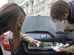 Скрывающих номера на своих авто водителей усиленно начнут ловить на Ставрополье
