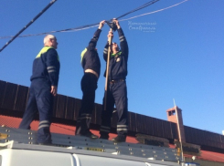 «Спасти рядового голубя»: трое спасателей вызволяли застрявшую в проводах птицу в Ставрополе 