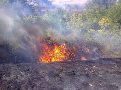 Ставропольские спасатели противостоят ландшафтным пожарам
