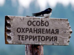 Семнадцать незаконных строений выявили на КМВ