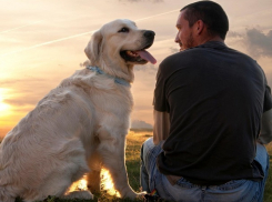«Недешевое удовольствие»: стало известно, сколько стоит завести собаку в Ставрополе 