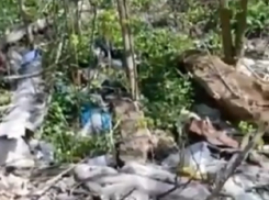 «Яр с водой на Калинина превратили в свалку, власти не реагируют», - жительница Ставрополя 