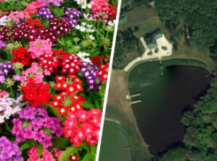 Гостиницу на горе Стрижамент снова озеленяет за бюджетные деньги правительство Ставрополья