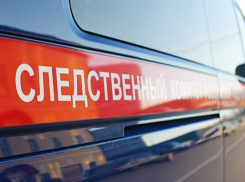 СК проверит сведения о приехавшей на вызов через час скорой помощи и отказывающихся везти в больницу женщину полицейских