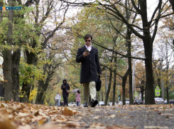 От царских маршрутов до виноградников: связь 4G от Билайн появилась в исторических поселениях Ставрополья