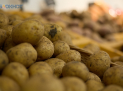 Картофель и лук стали доступнее для жителей Ставрополья