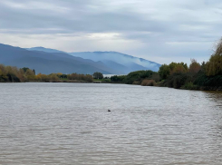 Еще три водоема признали безопасными для купания на Ставрополье