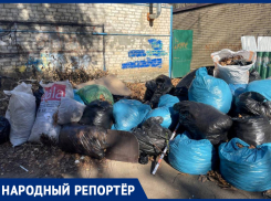 Ставропольчане жалуются на свалку из пакетов с листьями