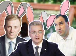 Губернатор, мэр и депутаты: какие кролики управляют Ставропольем