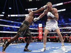 Бой века между МакГрегором и Мейвезером вызвал «горячие» споры жителей Ставрополя  