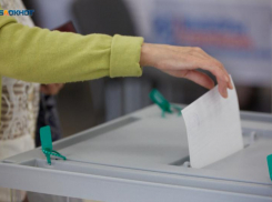 «Мертвая душа» в избирательной комиссии Ставрополья получала зарплату на выборах президента