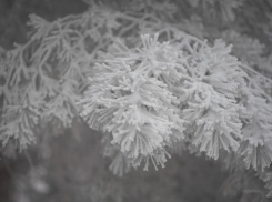 Температурные качели от -12 до +3 грядут на Ставрополье 22 января 