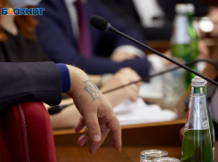 На выборы в Ставропольском крае пошли студенты, бизнесмены и казаки