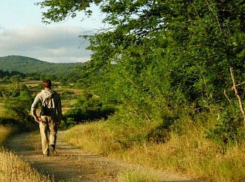 Воспитанник школы-интерната поздравил пенсионеров и потерялся в лесу