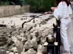 Изваяния местного мастера сломали в Кисловодске отдыхающие