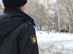 Соседи в Пятигорске на тропе войны 